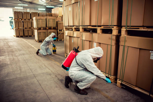Best Bed Bug Extermination  in St Paul, NE