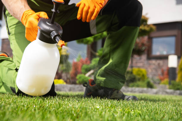 Best Flea Control Services  in St Paul, NE