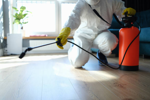 Professional Pest Control in St Paul, NE