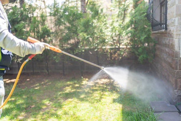 Best Flea Control Services  in St Paul, NE