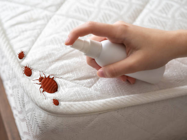 Best Best Pest Control Companies  in St Paul, NE