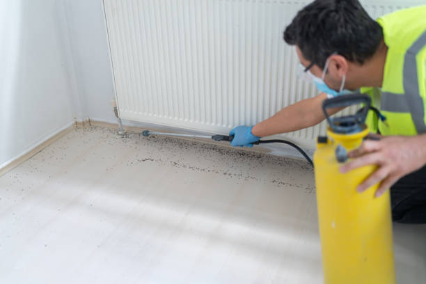 Best Pest Control Treatment  in St Paul, NE
