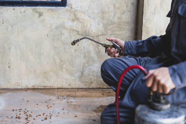 Best Affordable Pest Control Services  in St Paul, NE