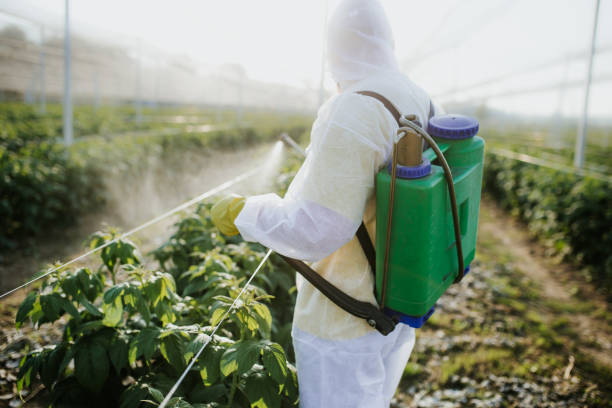 Flea Control Services in St Paul, NE